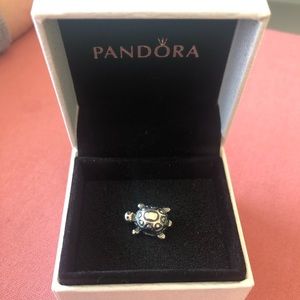 Pandora charm